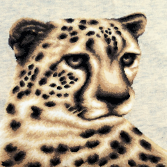 Wild Life - Snow Leopard