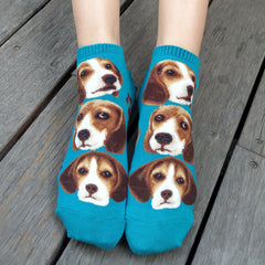 Dogs Ankles - Beagle Pup Face