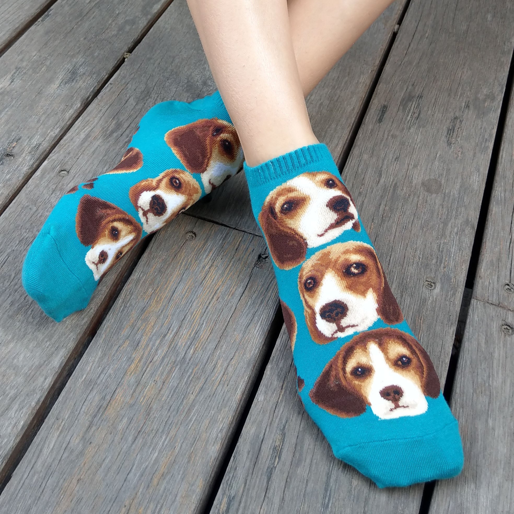 Dogs Ankles - Beagle Pup Face