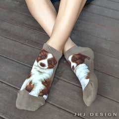 Dogs Ankles - Border Collie Taupe