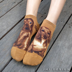 Dogs Ankles - Dachshund Brown