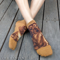 Dogs Ankles - Dachshund Brown