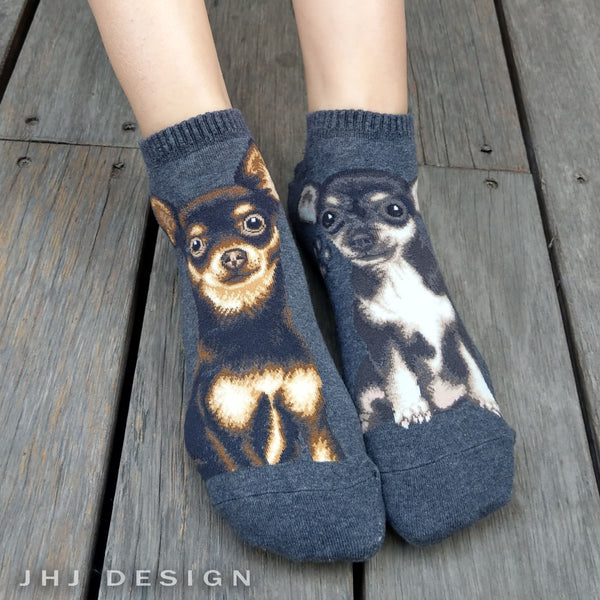 Dogs Ankles - Chihuahua Gray