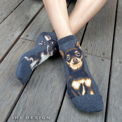 Dogs Ankles - Chihuahua Gray