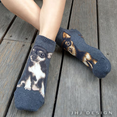 Dogs Ankles - Chihuahua Gray