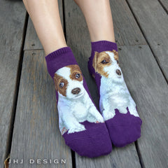 Dogs Ankles - Jack Russell Terrier