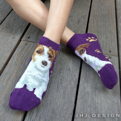 Dogs Ankles - Jack Russell Terrier