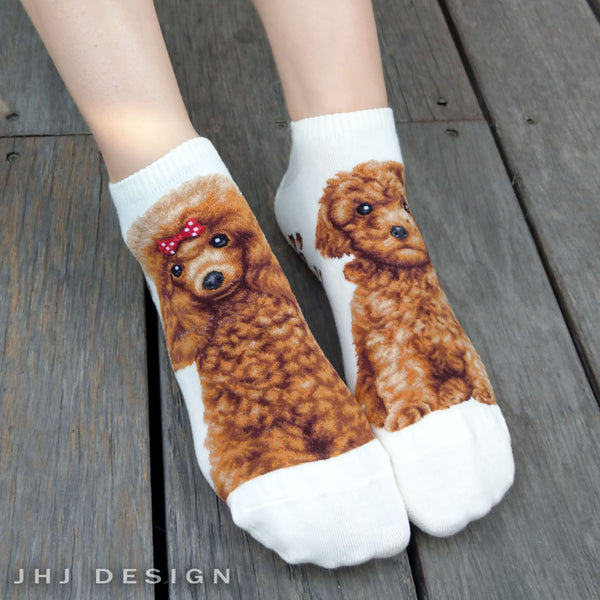 Dogs Ankles - Poodle