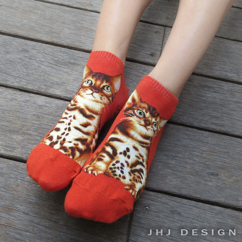 Cat Ankles - Bengal Orange