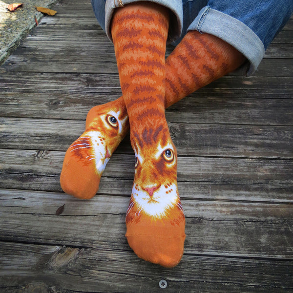 Cats - Orange cat face